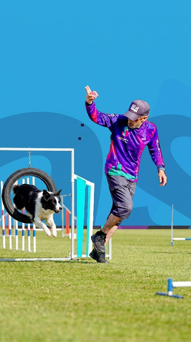 Alquiler Pista Agility